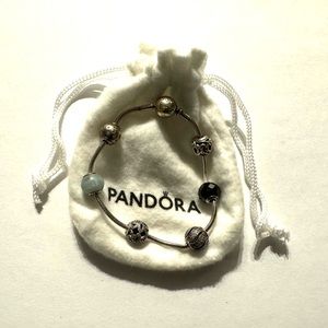 Pandora moments bracelet.